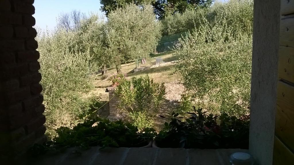 Agriturismo La Cantina San Martino Asyż Zewnętrze zdjęcie